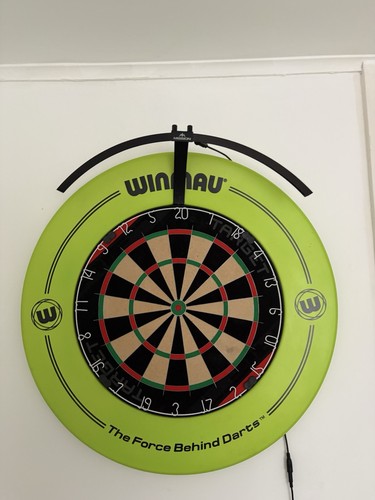Full dart board set - board, with
