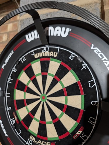Printed dartboard ring - 3d,